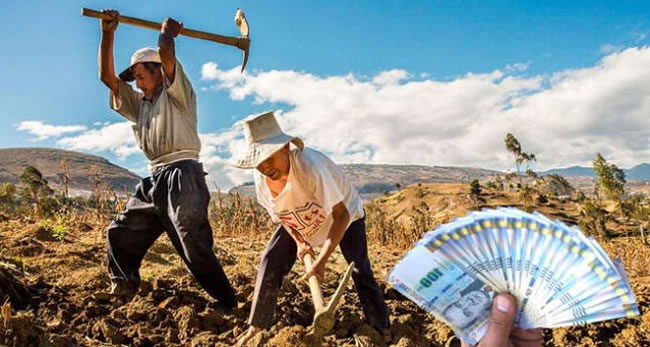 Consulta AQUÍ con tu DNI si accedes al subsidio de S/ 1,000 de Midagri